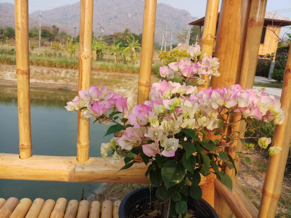 คูณ-เนื่อง ฟาร์ม สเตย์ หัวหิน Koon & Nueang Farm Stay Hua Hin Ban Bo Fai Exterior photo
